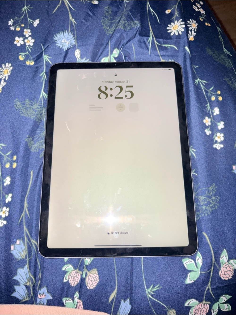 Apple iPad Air